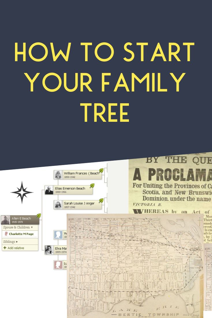 simple family tree